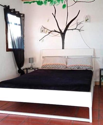 B&B Amigos De La Naturaleza Las Manchas  Dış mekan fotoğraf